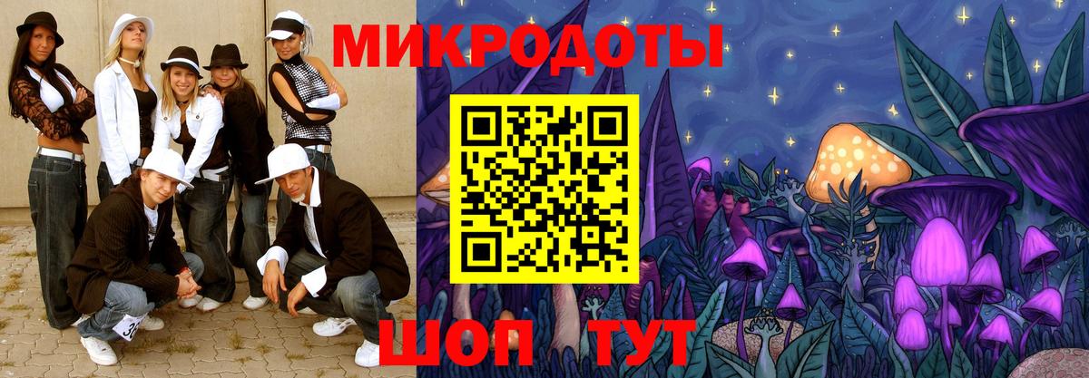Псилоцибиновые грибы Psilocybe Жигулёвск