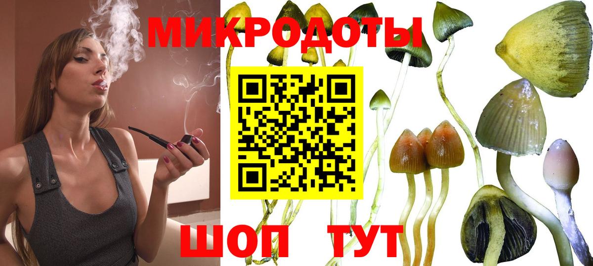 Псилоцибиновые грибы ЛСД  Вход с VPN  Галлюциногенные грибы Psilocybe  Жигулёвск 